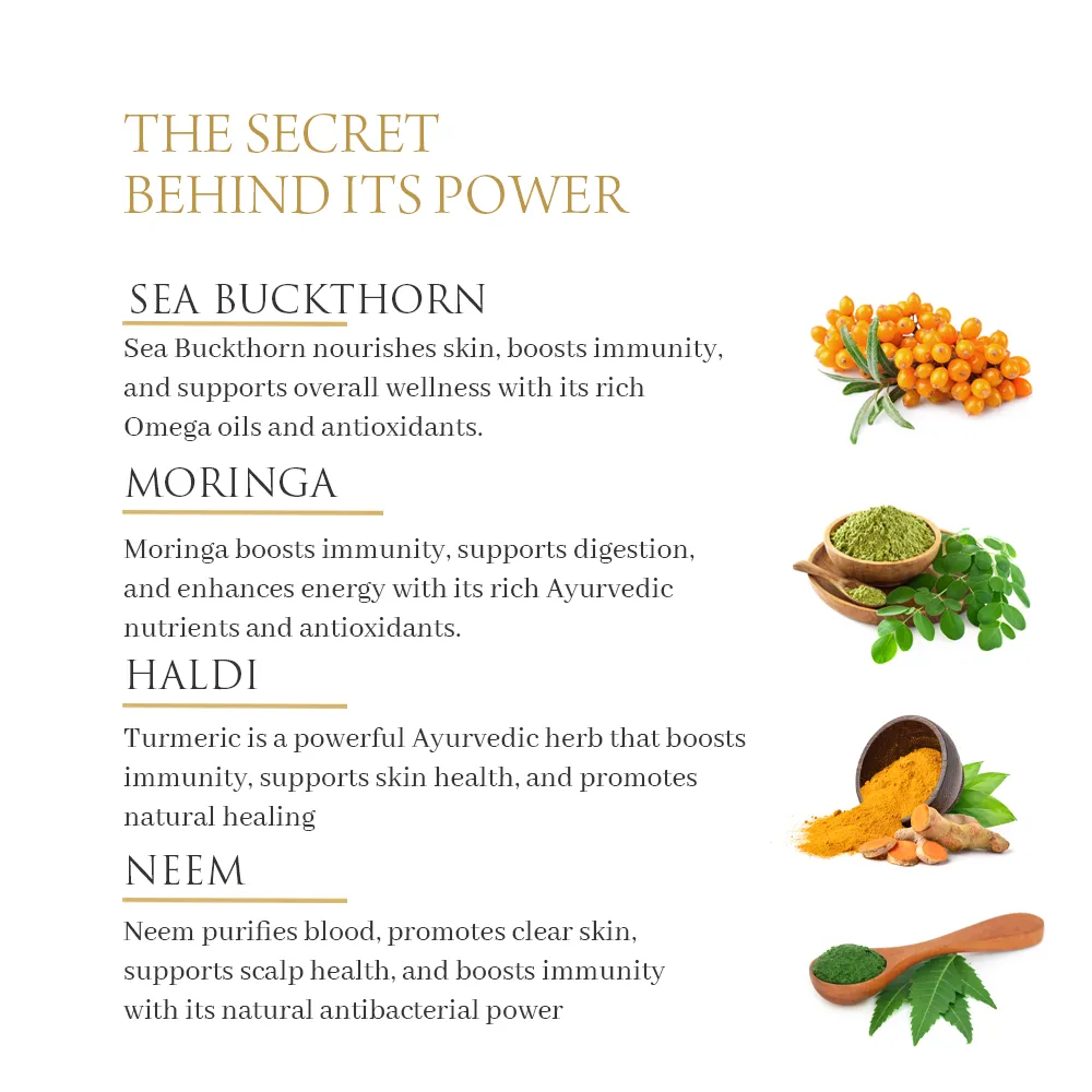 Sea Buckthorn Immunity Booster Nabhi Oil - Image 4